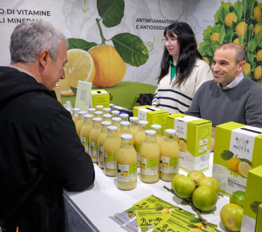 Artigiano in Fiera