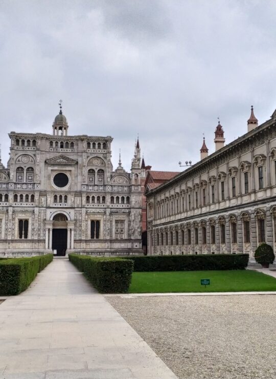 Pavia