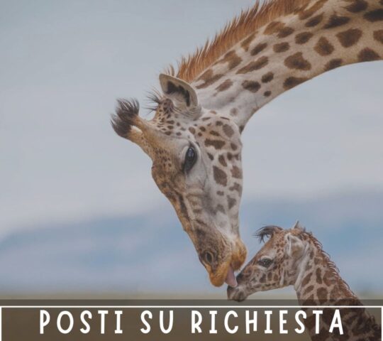 Soggiorno mare in Kenya con safari